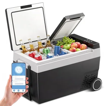 55 Qt 12V Car Refrigerator